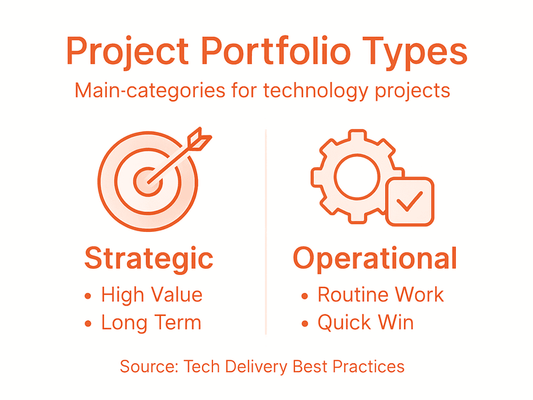 Infographic showing technology project portfolio types
