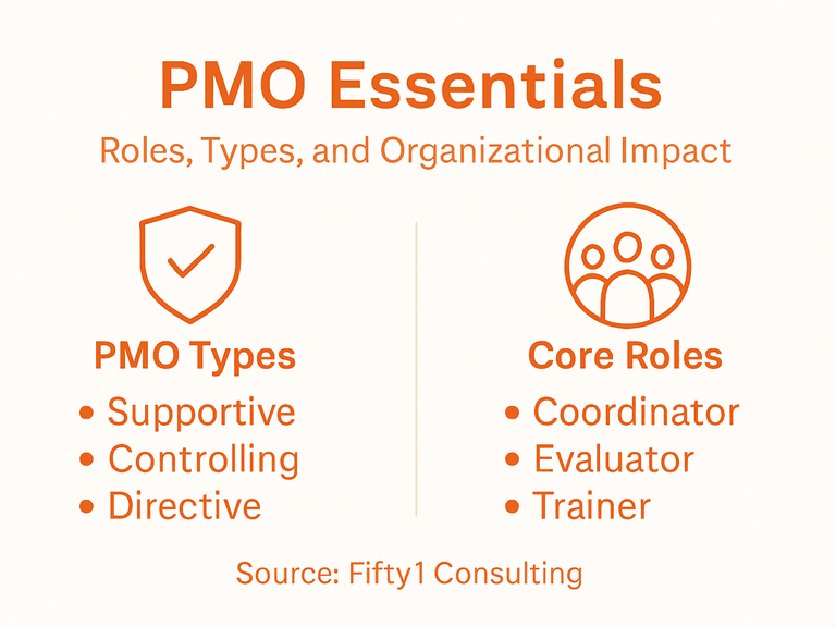 PMO types and core roles overview infographic
