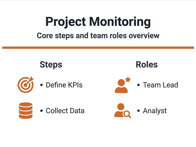Infographic showing project monitoring steps and key roles